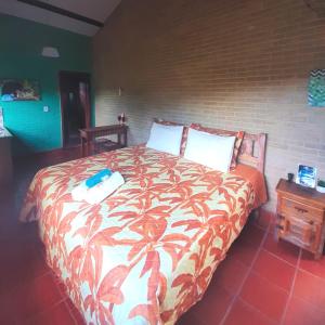Divino de São LourençoEspaço Puri的一间卧室配有一张大床和色彩缤纷的毯子