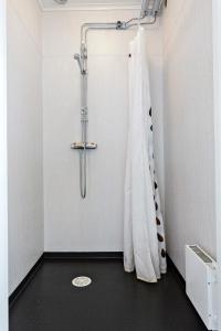 RöSågverket Höga Kusten的带淋浴和浴帘的浴室