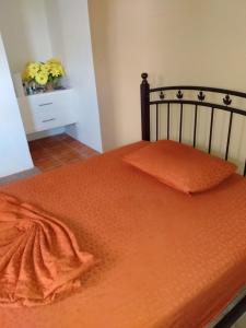 维约堡G's Nest Bed and Breakfast的床上有橙色的被子