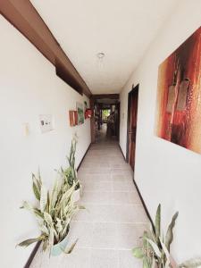 莱蒂西亚Divino Niño Hotel的墙上有两株盆栽植物的走廊