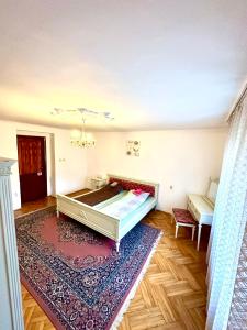蒂米什瓦拉Mosaico Alfetta Hostel的一间设有床和地毯的房间