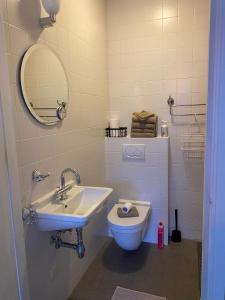 CornjumBed and Breakfast Stinzenflora的一间带水槽、卫生间和镜子的浴室
