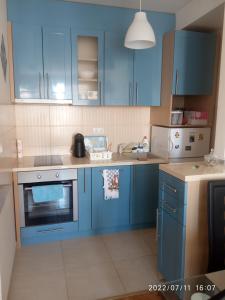 大格拉迪什泰Apartman STANKOVIĆ的蓝色的厨房,配有蓝色的橱柜和水槽