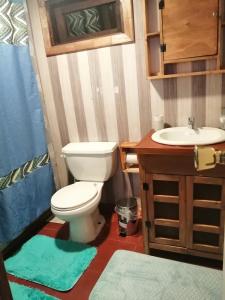 蒙特港Cabaña Alba的一间带卫生间和水槽的浴室