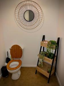 奥尔良Nature&Spa Appartement avec Jacuzzi & Sauna privé的浴室设有卫生间和墙上的镜子。