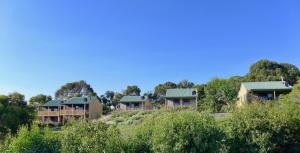 坎贝尔港戴茜山乡村山林小屋的山坡上一排树木的房屋
