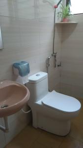 金马仑高原Ng Family’s Farm Stay的一间带卫生间和水槽的浴室