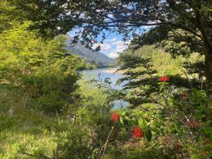 Puerto DunnRefugio Macales的享有树木和鲜花的河流美景