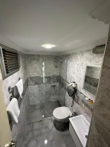 BulancakBasoglu Bulancak Hotel的浴室配有卫生间、淋浴和盥洗盆。