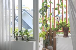 金瓯29-House的两扇窗户,上面有盆栽植物