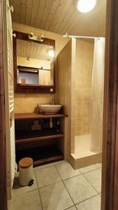 Viuz-en-SallazGîte Cœur de Haute-Savoie的一间带水槽、镜子和淋浴的浴室
