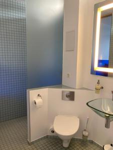 哥本哈根CPH生活酒店的一间带卫生间和水槽的浴室