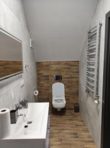 弗罗茨瓦夫Noclegi Budomas Klima-ParkigFree-SmartTv的浴室配有白色水槽和卫生间。