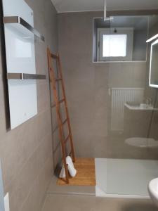 克莱恩 蒙塔纳Appartement Randogne的带淋浴和盥洗盆的浴室内的梯子