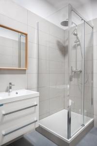 布拉格Prague 6 apartments的带淋浴和盥洗盆的白色浴室
