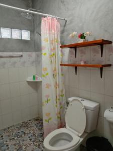 班柯木Goodluck village house的一间带卫生间和淋浴帘的浴室