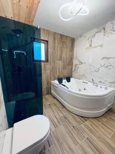 科拉欣Chalet Montenegrina with jacuzzi的带浴缸、卫生间和淋浴的浴室。