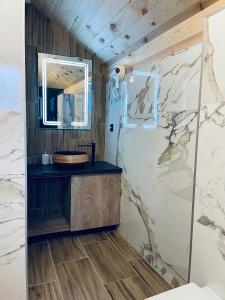 科拉欣Chalet Montenegrina with jacuzzi的一间带水槽和镜子的浴室