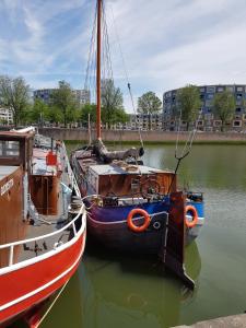 鹿特丹Boat-Apartment Rotterdam Fokkelina的两艘船停靠在一排水中