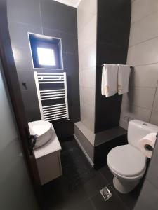 兰卡Pensiunea Belvedere的浴室配有白色卫生间和盥洗盆。