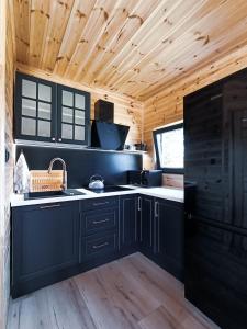 DziemianyDomek w sercu Kaszub的厨房配有黑色橱柜和木制天花板
