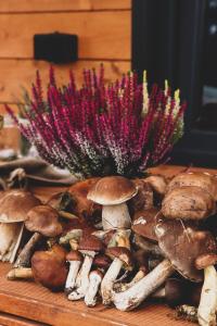 DziemianyDomek w sercu Kaszub的桌上的一堆蘑菇,花紫色
