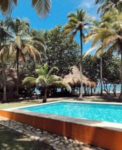 帕洛米诺Casa Yuluka en la playa, Palomino的度假村内棕榈树游泳池