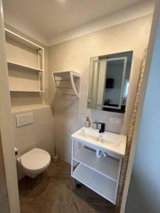 海牙Renovated & private Tinyhouse Den Haag short stay appartment的一间带卫生间、水槽和镜子的浴室