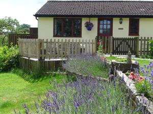 科尔福德The Rock self-catering holiday cottage and garden lodges的前面有栅栏和紫色花朵的房子