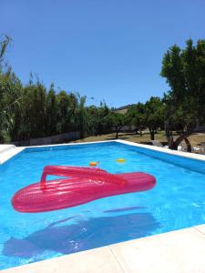 埃尔瓦斯Quinta da Ponte das Hortas 3的水中红色物体的游泳池