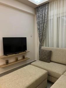 科扎尼Kozani Home 01的带沙发和平面电视的客厅