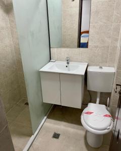 BechetHotel Tata Si Fii的一间带卫生间、水槽和镜子的浴室
