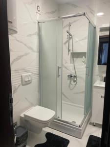 弗尔尼亚奇卡矿泉镇Apartman Arcobaleno的带淋浴和卫生间的浴室