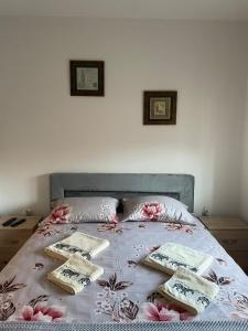 弗尔尼亚奇卡矿泉镇Apartman Arcobaleno的床上有三个枕头