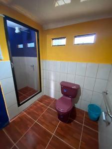 Santa MaríaKoi's House - Quebradillas de Dota的浴室配有紫色卫生间和淋浴。
