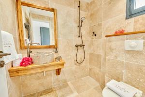 波尔兰特LES GALETS ROUGES LODGES & SPA的带淋浴、卫生间和盥洗盆的浴室