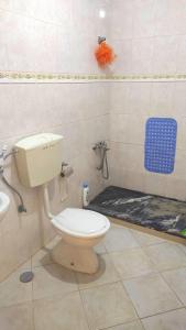 明德卢Casa de Gá的一间带卫生间和淋浴的浴室