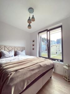 别拉什尼察Divernoa Mountain Bjelašnica的一间卧室设有一张大床和大窗户
