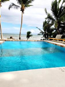 玛雅湾玛雅海滩酒店的棕榈树海滩旁的游泳池