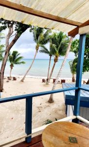 玛雅湾玛雅海滩酒店的享有棕榈树海滩和大海的景色