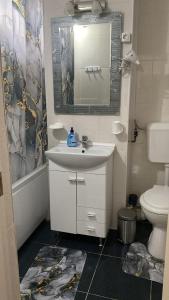 特尔戈维什泰Elite Apartment的一间带水槽、卫生间和镜子的浴室