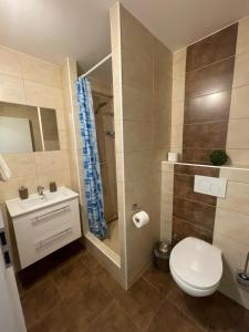 布拉格Pension Hájek的浴室配有卫生间、淋浴和盥洗盆。