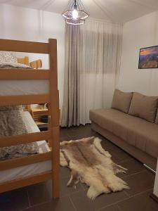 Crni VrhAntić apartmani Stara planina的客厅配有沙发,地板上铺有地毯。