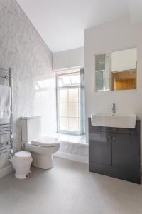 AbercanaidBikehaus@The Colliers Arms的白色的浴室设有卫生间和水槽。