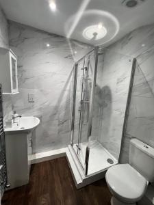 邓斯特布尔Dunstable Boutique Guest House的带淋浴、卫生间和盥洗盆的浴室