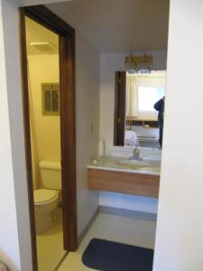 希利White Moose Lodge的一间带水槽、卫生间和镜子的浴室