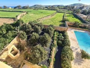 阿尔卜Newly Converted One of a Kind Farmhouse Villa In Gozo的享有带游泳池和树木的别墅的空中景致