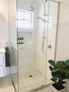 科夫斯港Seabirds Cottage的浴室里装有植物的淋浴间