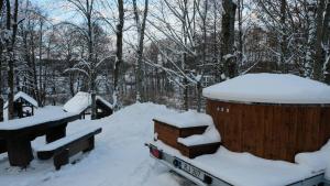 KaltanėnaiNamelis Šiaurėje的堆满树木的院子内的一个雪地垃圾箱