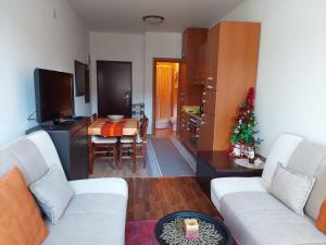 弗拉西克Apartman Pahuljica Vlašić的客厅配有沙发和带圣诞树的桌子